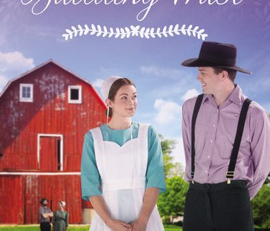 Building Trust: An Amish Family Novella For Cheap