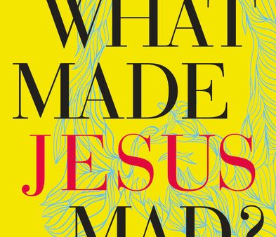 What Made Jesus Mad?: Rediscover the Blunt, Sarcastic, Passionate Savior of the Bible Online Sale