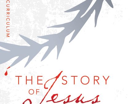 The Story of Jesus Teen Curriculum: Finding Your Place in the Story of Jesus on Sale