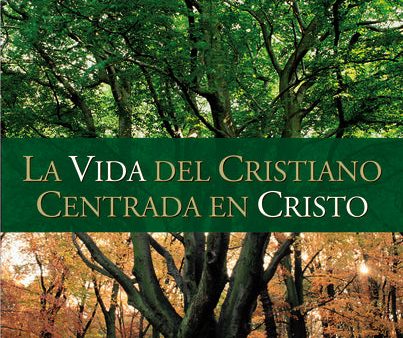 La vida del cristiano centrada en Cristo: La gran transformación Fashion