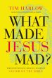 What Made Jesus Mad?: Rediscover the Blunt, Sarcastic, Passionate Savior of the Bible Online Sale