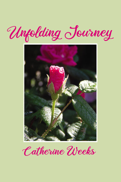 Unfolding Journey Hot on Sale