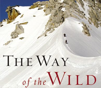 The Way of the Wild Heart: A Map for the Masculine Journey Online Sale