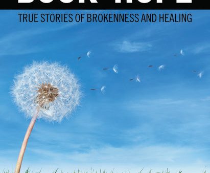 The Youth Worker Book of Hope: True Stories of Brokenness and Healing For Cheap