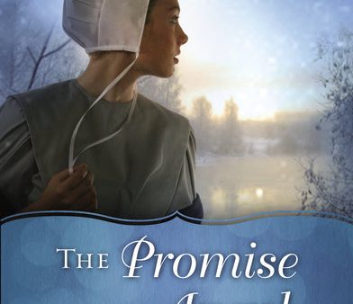 The Promise of an Angel Hot on Sale