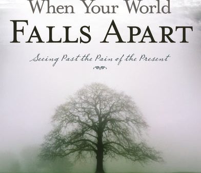 When Your World Falls Apart: See Past the Pain of the Present on Sale