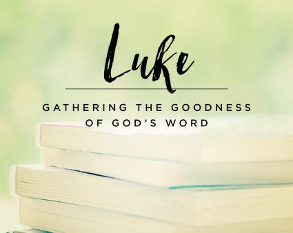 Verse Mapping Luke Video Study: Gathering the Goodness of God’s Word For Sale