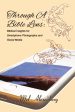 Through A Bible Lens: Biblical Insights for Smartphone Photography and Social Media For Cheap