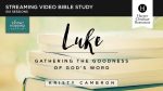 Verse Mapping Luke Video Study: Gathering the Goodness of God’s Word For Sale