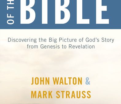 A Brief Survey of the Bible Study Guide: Discovering the Big Picture of God s Story from Genesis to Revelation Online now